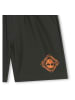 Timberland Badeshorts in Braun