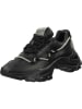 Steve Madden Sneakers in Schwarz