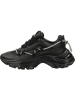 Steve Madden Sneakers in Schwarz