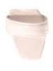 Högl Leder-Pantoletten in Creme