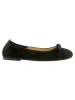 Högl Leder-Ballerinas in Schwarz