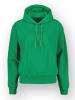 RAIZZED® Hoodie in Grün