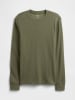 GAP Sweter w kolorze khaki