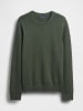 GAP Pullover in Dunkelgrün