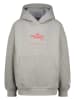 Vingino Hoodie grijs