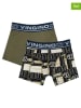 Vingino 2-delige set: boxershorts "Logo" meerkleurig