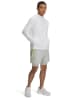 Under Armour Trainingsshorts in Grau