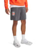 Under Armour Sweatshorts in Grau
