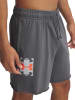 Under Armour Sweatshorts in Grau