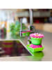 Vigar Spülbürste "Flower power" in Grün/ Pink - (H)7,5 cm