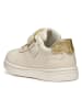Geox Sneakers "DJRock" in Creme