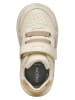 Geox Sneakers "DJRock" in Creme