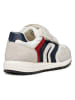 Geox Sneakers "Alben" in Creme