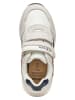 Geox Sneakers "Alben" in Creme