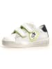 Naturino Leren sneakers "Korey" wit/groen/donkerblauw