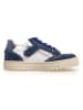Naturino Leren sneakers "Ariton" donkerblauw/wit