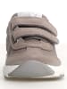 Naturino Leren sneakers "Jesko" lichtbruin