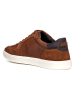 Geox Leder-Sneakers "Avola" in Hellbraun