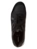 Geox Leder-Sneakers "Ravex" in Schwarz