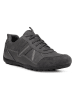 Geox Leder-Sneakers "Ravex" in Grau