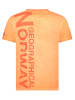 Geographical Norway Shirt "Jotz" oranje