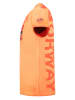Geographical Norway Shirt "Jotz" in Orange
