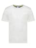 Geographical Norway Shirt "Jilva" in Grau