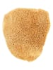 Lullalove Naturschwamm in Gelb