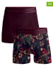 Muchachomalo 2er-Set: Boxershorts in Rot/ Bunt