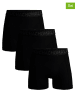 Muchachomalo 3er-Set: Boxershorts in Schwarz