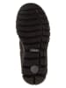 Primigi Leder-Sneakers "Hilos" in Schwarz
