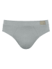 Sloggi 2er-Set: Slips ''Go Natural'' in Blau/ Grau