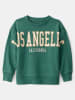 carter's Sweter w kolorze zielonym