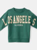 carter's Pullover in Grün