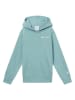Champion Hoodie lichtblauw
