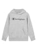 Champion Hoodie in Grau