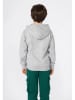 Champion Hoodie in Grau