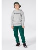 Champion Hoodie in Grau