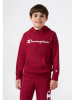 Champion Hoodie in Rot