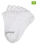 Skechers 6-delige set: sokken wit