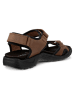 Ecco Leder-Wandersandalen "Hike"  in Braun/ Schwarz