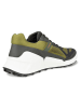 Ecco Wandelschoenen "Biom 2.1 x Mountain" antraciet/kaki