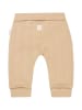 Noppies Sweathose "Otsego" in Beige
