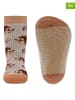 ewers 2er-Set: ABS-Socken "SoftStep Igel" in Hellbraun