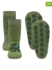 ewers 2-delige set: antislipsokken "Krokodil" groen