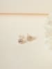 Heliophilia 2tlg. Silber-Schmuck-Set