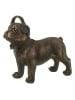 J Line Deco-figuur "Bulldog" bruin - (B)28 x (H)25 x (D)11 cm