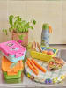 Rice Lunchbox in Grün/ Orange - (B)21 x (H)7,5 x (T)14 cm