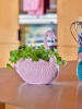 Rice Blumentopf in Rosa - (B)9,5 x (H)23 x (T)21 cm