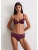 Marc O´Polo Bodywear Panty in Bordeaux